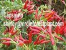 Capsaicin (Shirley At Virginforestplant Dot Com)